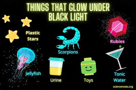 things that glow under black light