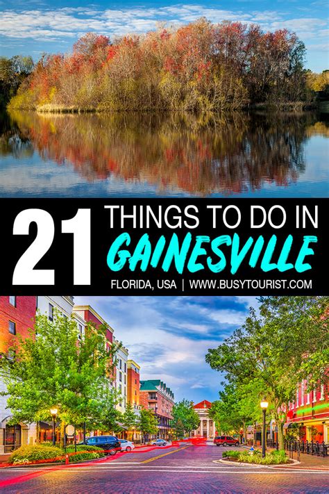 things to do in and around gainesville fl