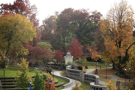 things to do in berea