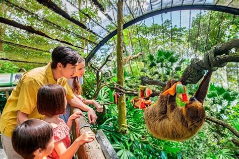 things to do in singapore zoo