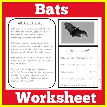 third grade fcat mini bats PDF PDF