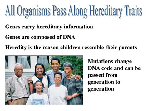 this holds an organisms hereditary information