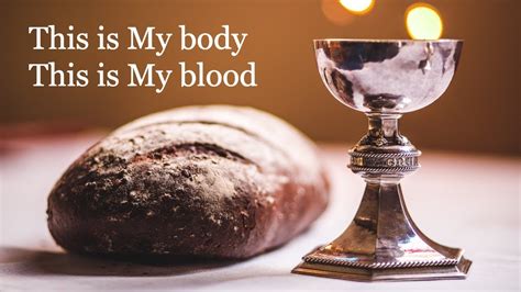 this is my body this is my blood miracles of the eucharist Epub