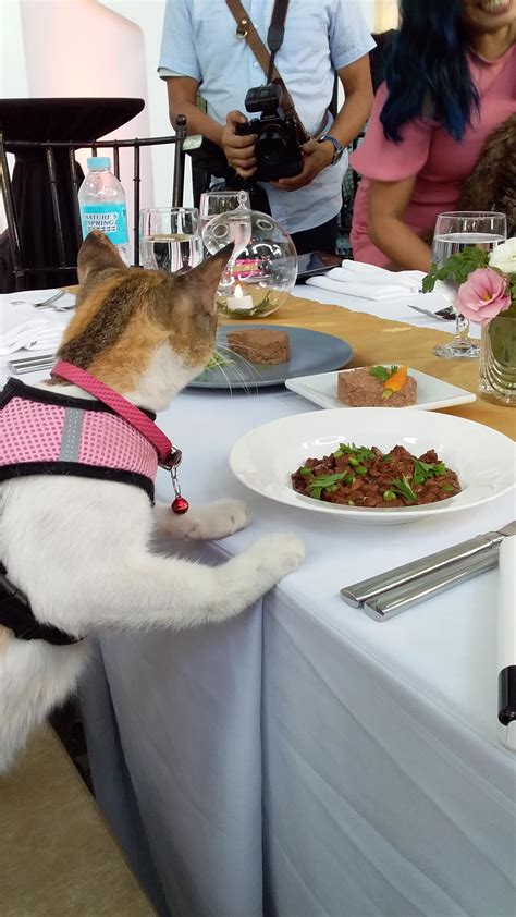 this isnt the life i ordered Doc