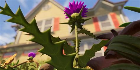 thistle plant grounded