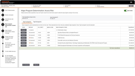 thomson reuters internal audit manual PDF