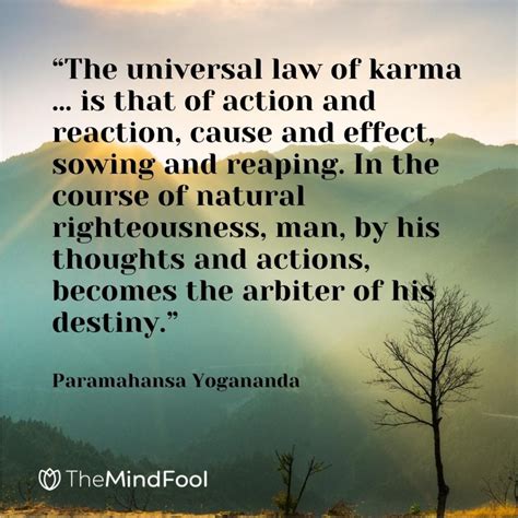three essays on universal law the laws of karma will and love PDF