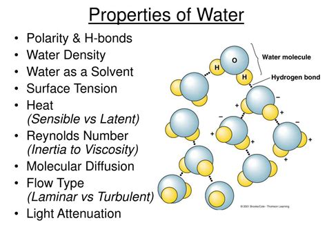 three properties of water