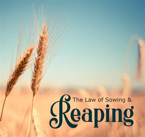 throwing the boomerang the law of sowing and reaping Reader