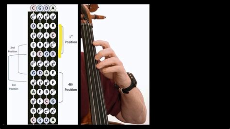 thumb position for cello bk 2 thumbs of steel Epub