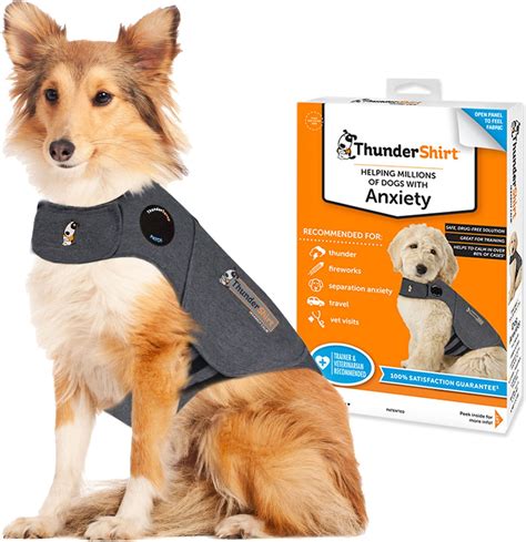 thunder shirt dogs