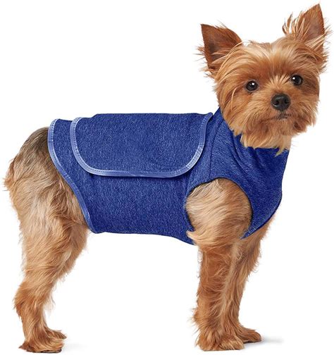 thunder vest dog