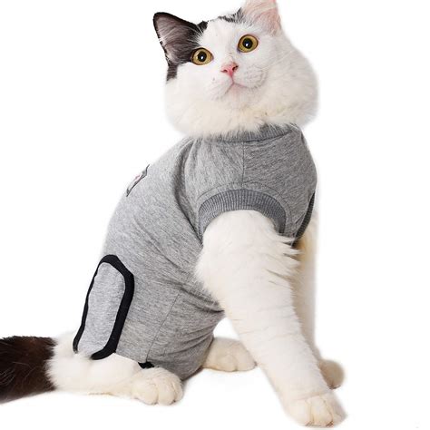 thundershirt for cat