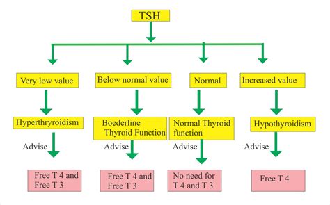 thyroid function testing thyroid function testing Reader