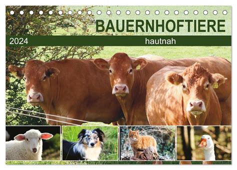 tiere hautnah tischkalender 2016 quer PDF