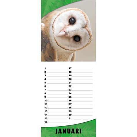 tiere waldes tischkalender 2016 geburtstagskalender Doc