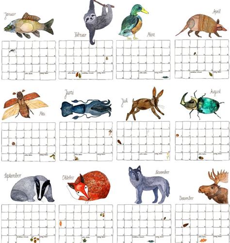 tiere waldes wandkalender 2016 geburtstagskalender Reader