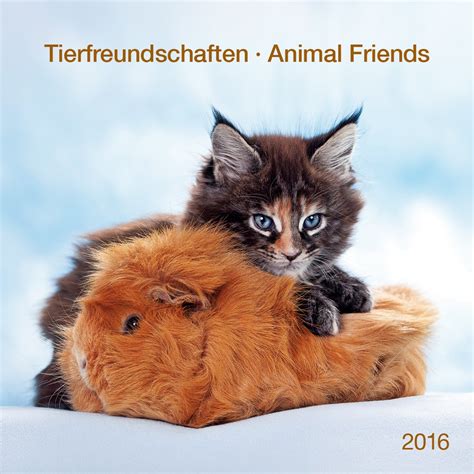 tierfreundschaften 2016 wandkalender tierkalender spiralbindung PDF