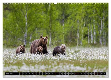 tierische begegnungen wandkalender 2016 quer Kindle Editon