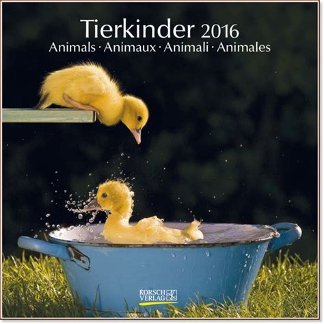 tierkinder kaulquappe kalb tischkalender 2016 PDF