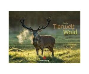 tierwelt wald 2016 ackermann kunstverlag Kindle Editon