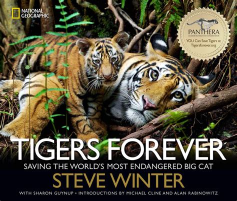 tigers forever saving the worlds most endangered big cat Doc