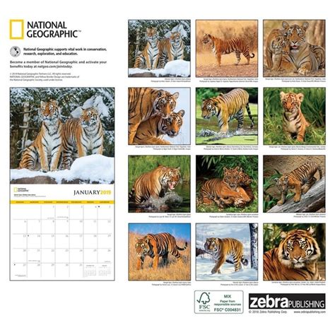 tigers national geographic 2016 wall calendar PDF