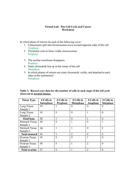 time for mitosis lab 16 answer key pdf Reader