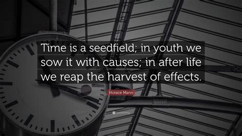 time seedfield eternity harvest philomathean Epub