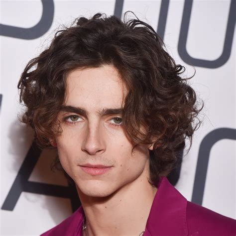 timothée hal chalamet jawline