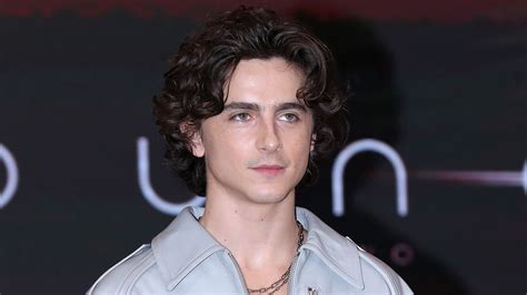 timothee chalamet harry potter