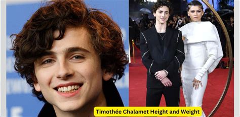 timothee chalamet height and weight