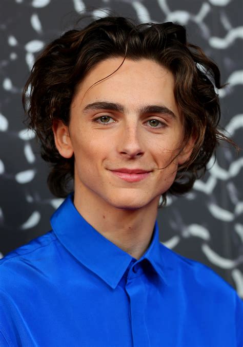 timothee chalamet middle part