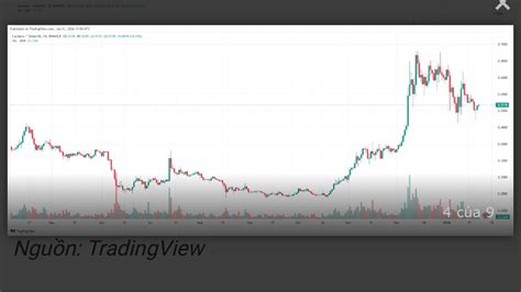 tin tức cardano