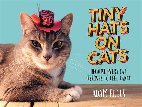 tiny hats on cats because every cat deserves to feel fancy Reader