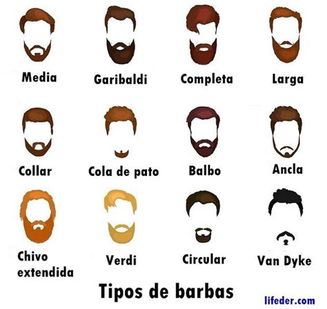 tipos de barba