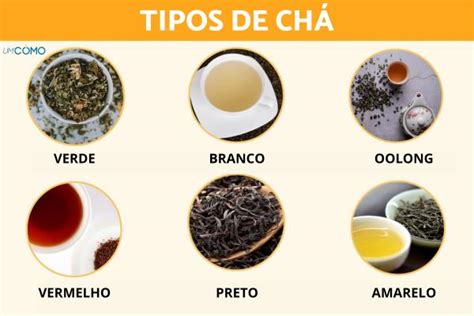 tipos de chas