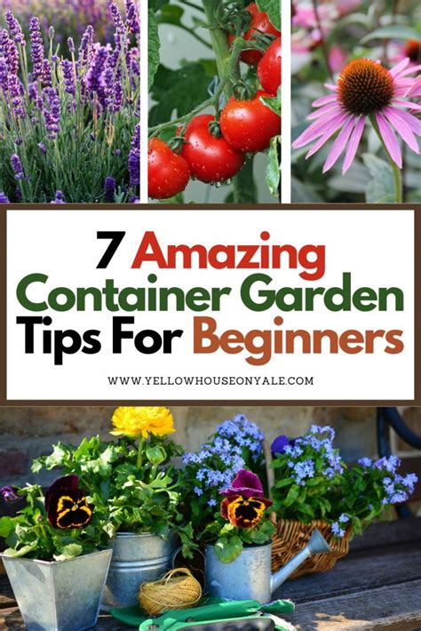 tips for container gardening tips for container gardening PDF