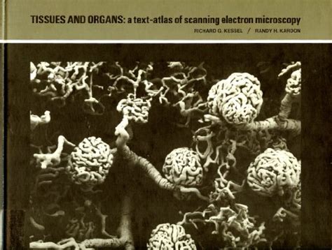 tissues and organs a text atlas of scanning electron microscopy Doc