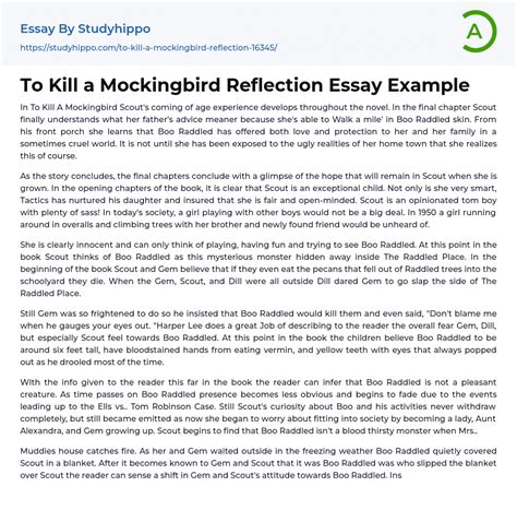 to kill a mockingbird reflection essay Epub