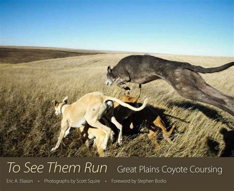 to see them run great plains coyote coursing Epub