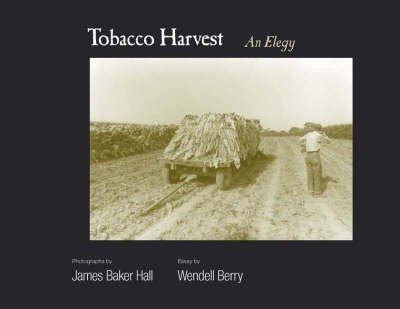 tobacco harvest an elegy Doc