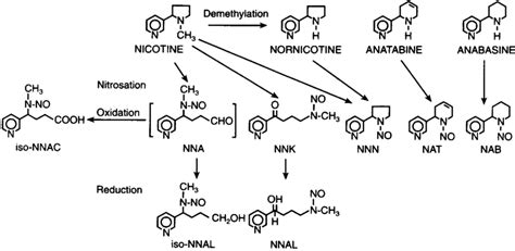 tobacco-specific nitrosamines (TSNA)