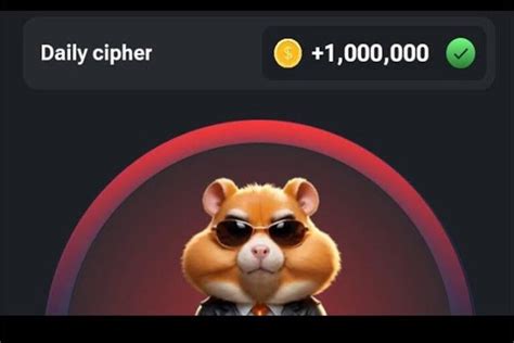 today hamster daily cipher