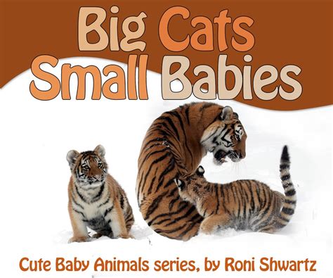 toddlers book big cats small babies cute baby animals book 1 Doc