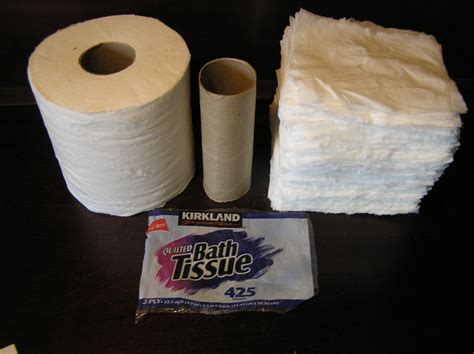 toilet paper geometry project Reader