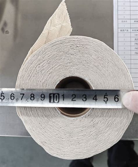 toilet paper roll test Kindle Editon