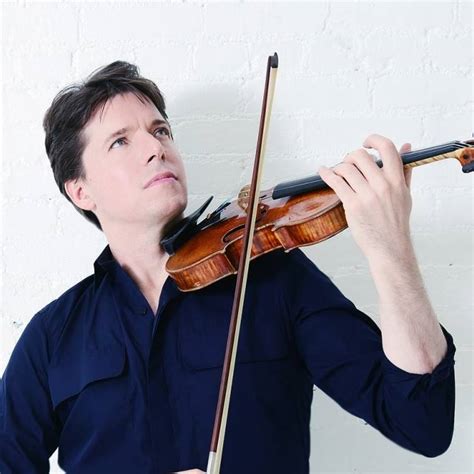 top notch violins llc