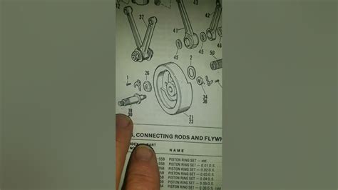 torque spec for harley compensator sprocket Ebook Reader