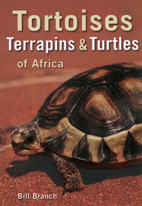 tortoises terrapins and turtles of africa Doc